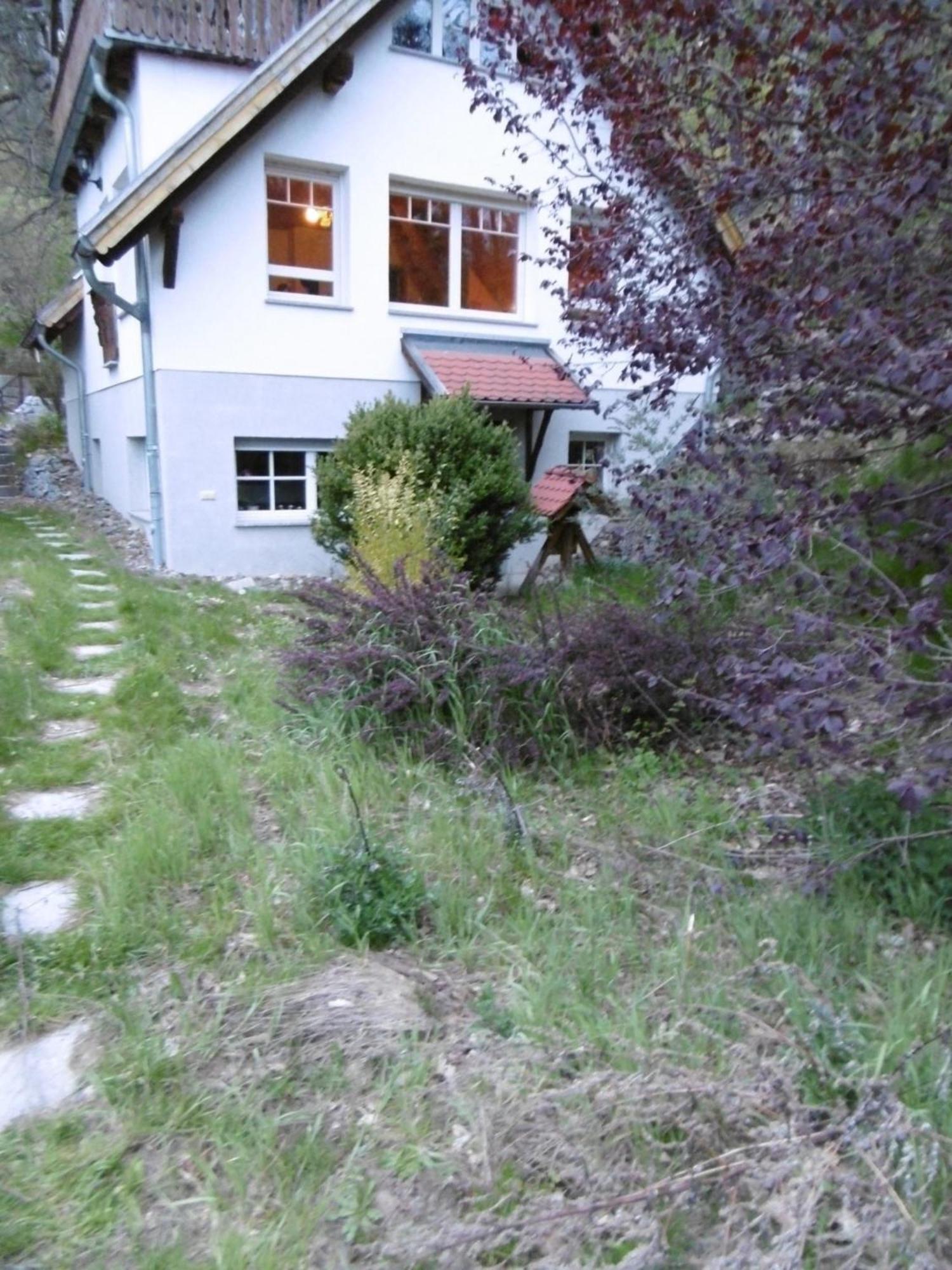 Gartenwohnung Bodetalblick Thale Exterior foto